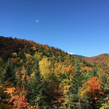 Loft Nature Laurentides Val-des-Lacs Buitenkant foto