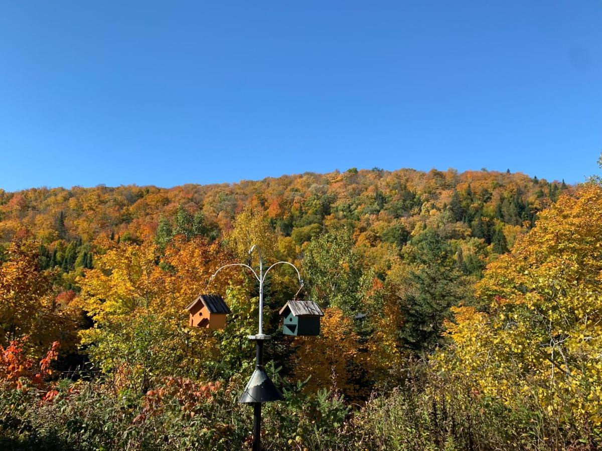 Loft Nature Laurentides Val-des-Lacs Buitenkant foto