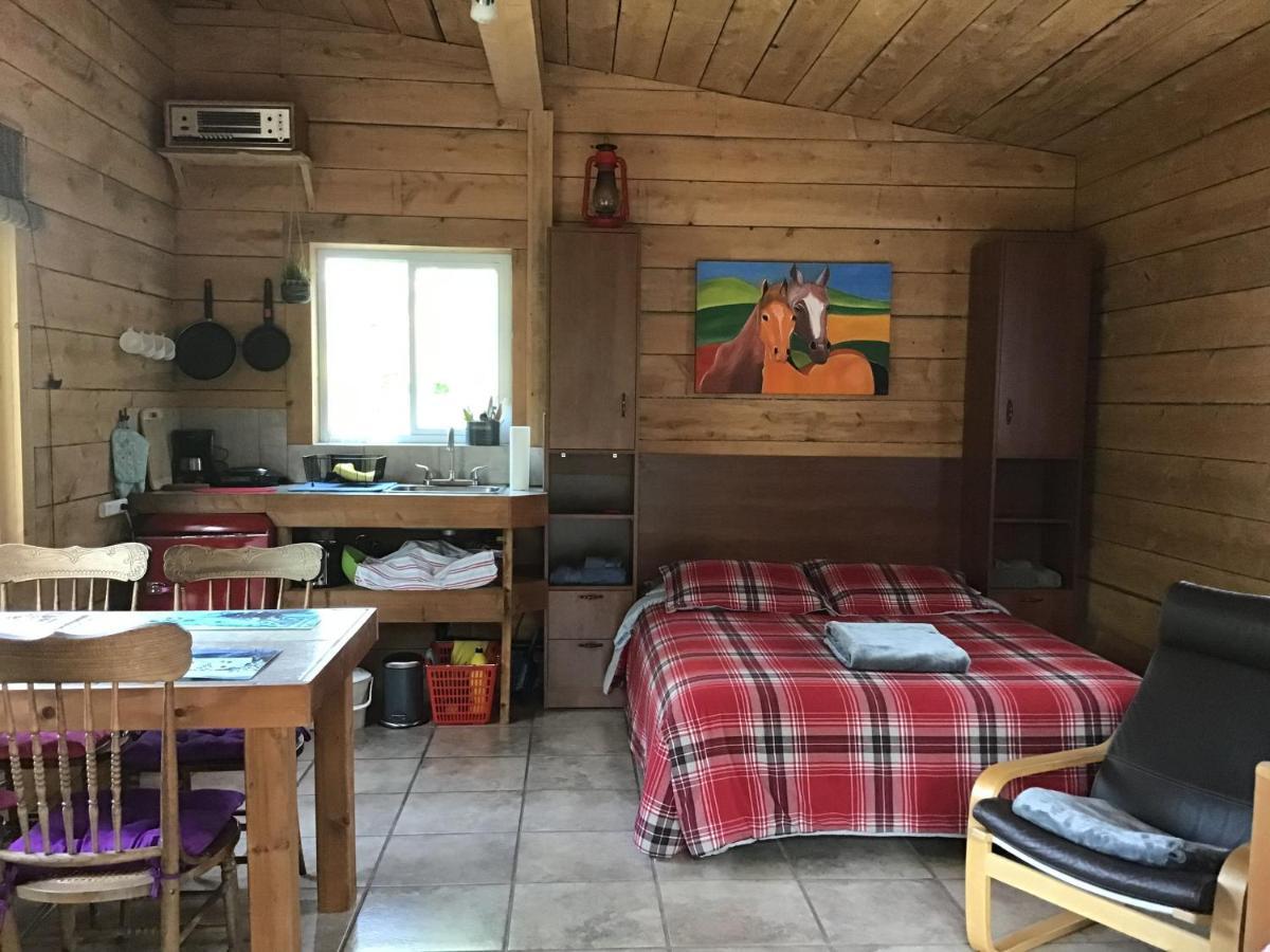 Loft Nature Laurentides Val-des-Lacs Buitenkant foto