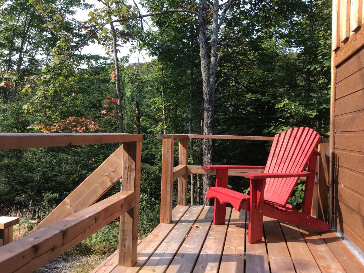 Loft Nature Laurentides Val-des-Lacs Buitenkant foto