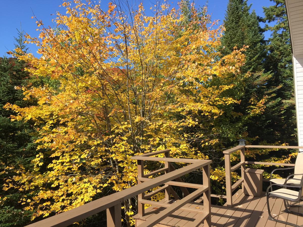 Loft Nature Laurentides Val-des-Lacs Buitenkant foto