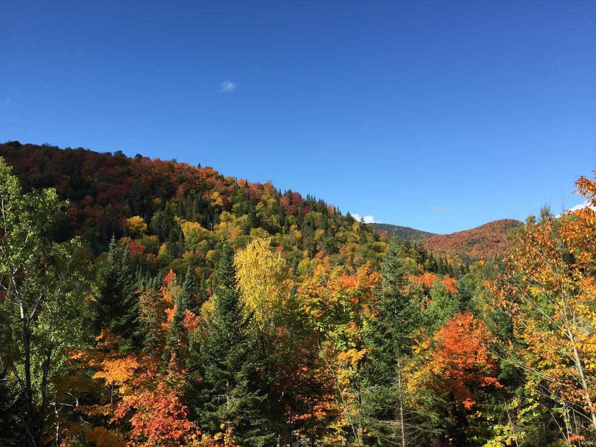 Loft Nature Laurentides Val-des-Lacs Buitenkant foto