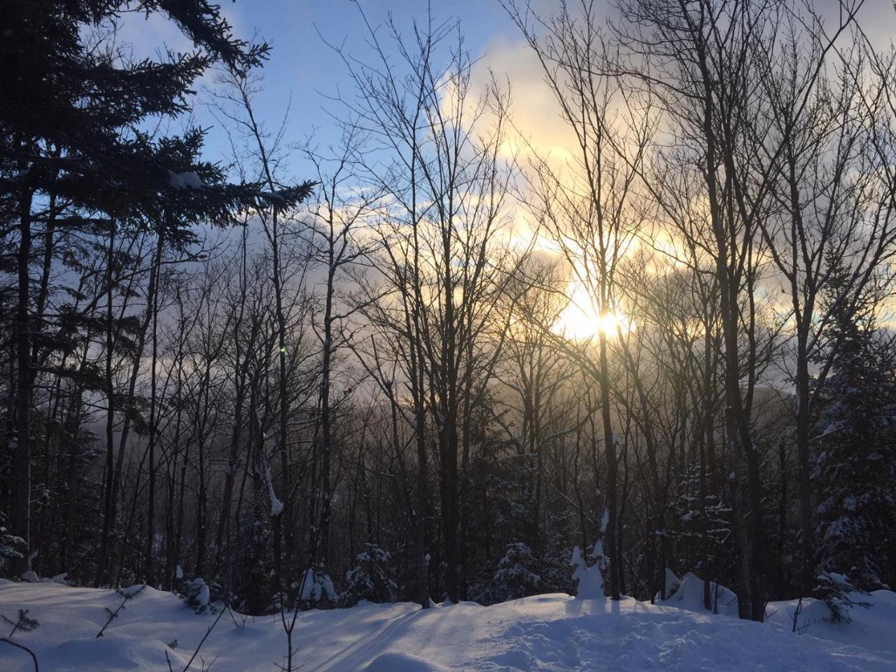 Loft Nature Laurentides Val-des-Lacs Buitenkant foto