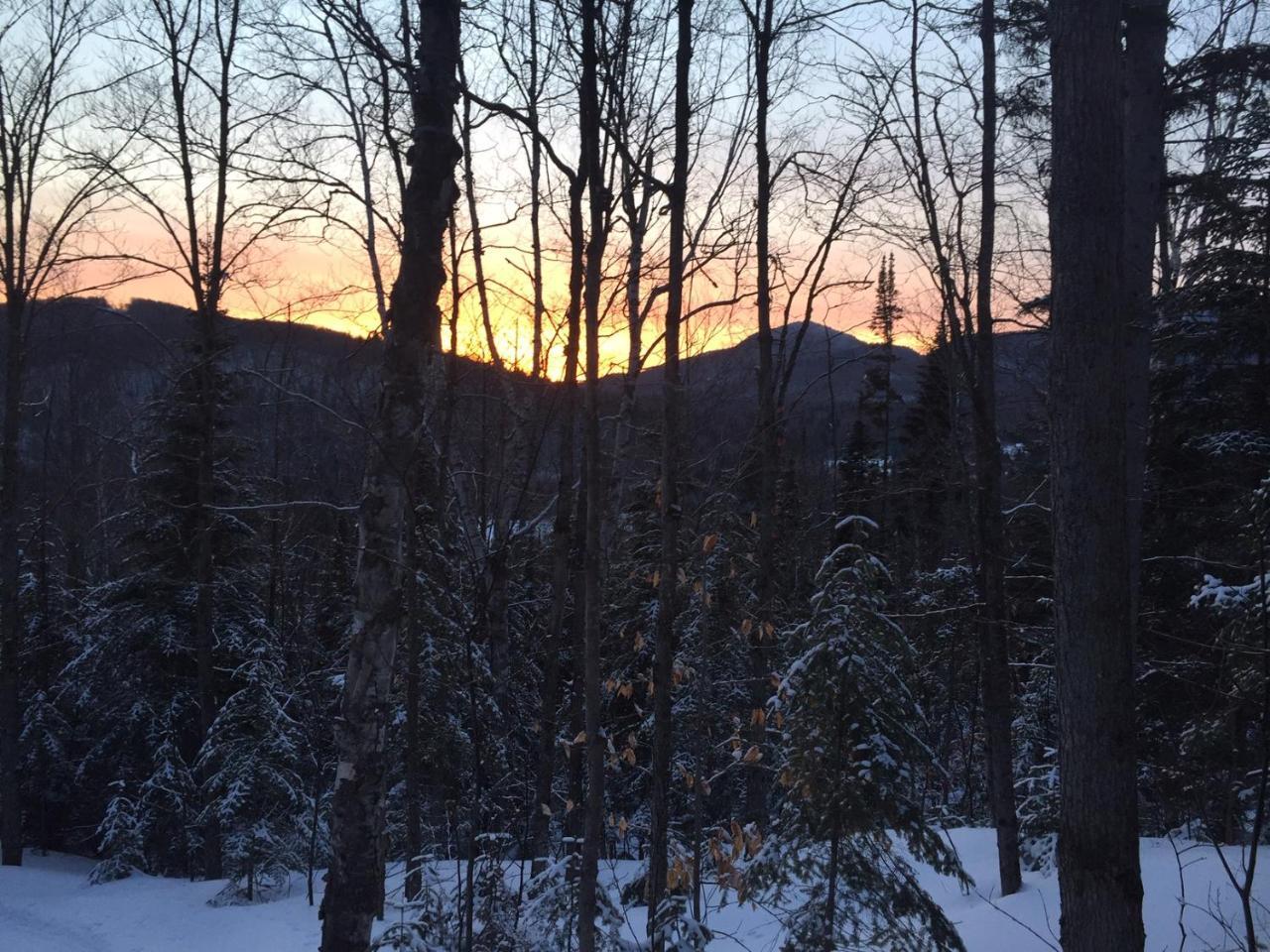 Loft Nature Laurentides Val-des-Lacs Buitenkant foto